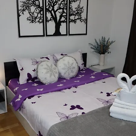 Apartment The Feeling